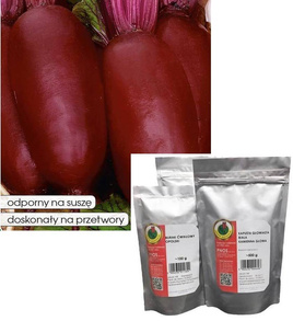 Regulski Cylinder Beetroot 500g (Beta vulgaris)