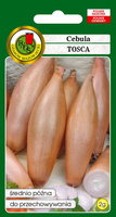 Cebula TOSCA 2g (Allium cepa)