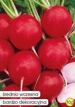 Radish KRASA 10g (Raphanus sativus var. sativus)