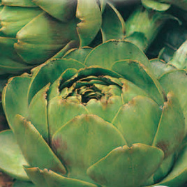 Karczoch zwyczajny GROS VERT DE LAON 1g (Cynara scolymus)