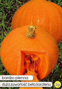 Giant pumpkin JUSTYNKA F1 2g (Cucurbita maxima)