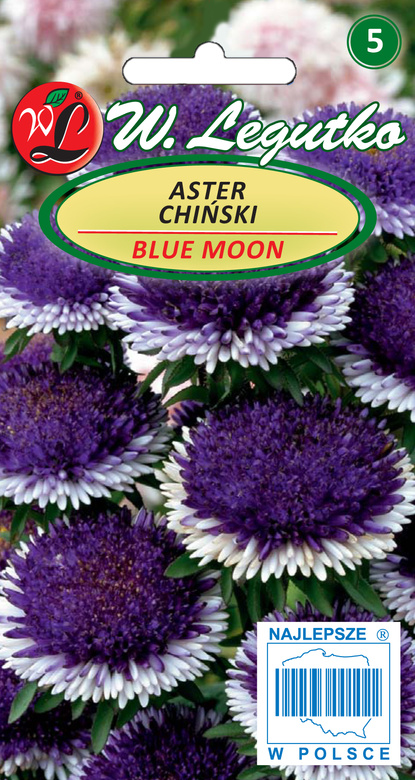 Aster chiński LILIPUT BLUE MOON 0,3g (Callistephus chinensis)