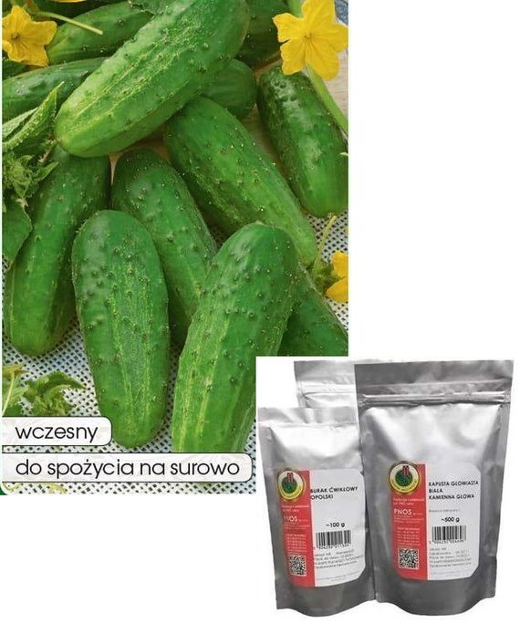 Ground cucumber REJA F1 50g (Cucumis sativus)