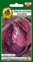 Red Conehead Cabbage KALIBOS 1g (Brassica oleracea convar. capitata var. Rrubra)