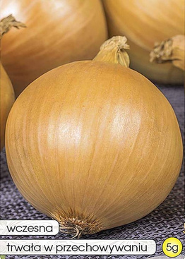 Cebula RAWSKA 5g (Allium cepa)