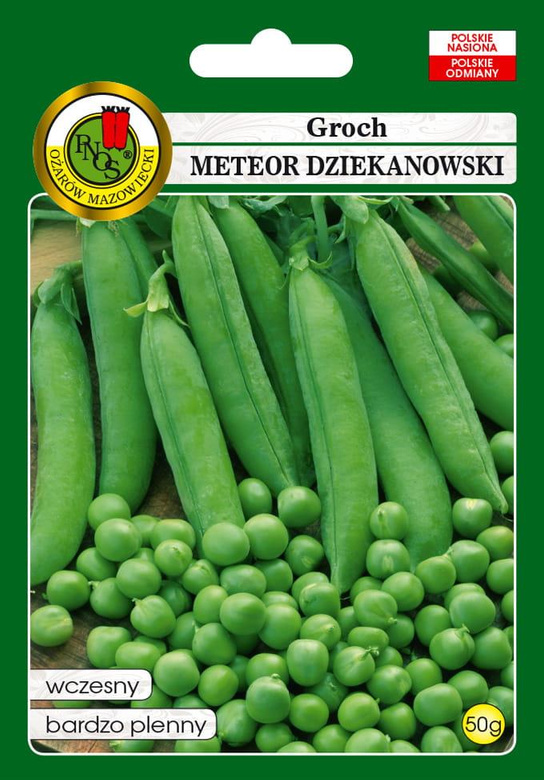 Dwarf pea METEOR DZIEKANOWSKI 50g (Pisum sativum)