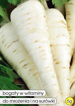 White half-long Parsnip 5g (Pastinaca sativa)