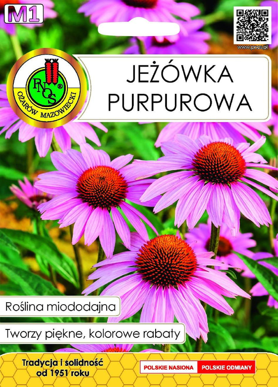 Purple Coneflower 1g (Echinacea purpurea)