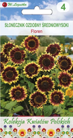 Decorative sunflower FLOREN brown 1g (Polish Flowers) (Helianthus annuus)