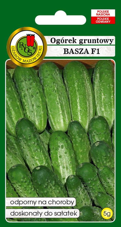 Ogórek gruntowy BASZA F1 5g (Cucumis sativus)