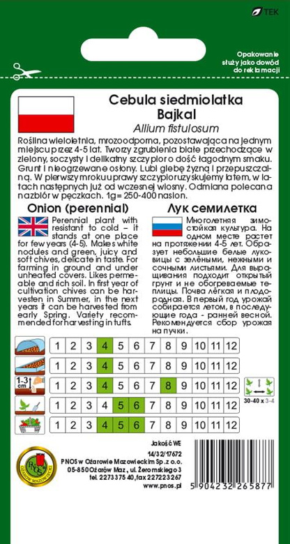 Seven-year-old onion BAJKAL 2g (Allium fistulosum)