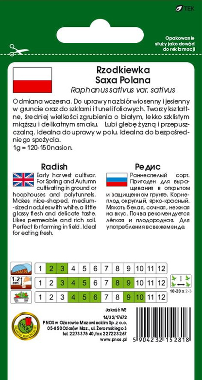 Radish SAXA POLANA 10g (Raphanus sativus var. sativus)