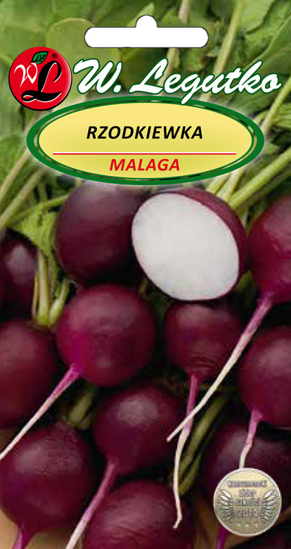 Radish MALAGA 5g (Raphanus sativus)