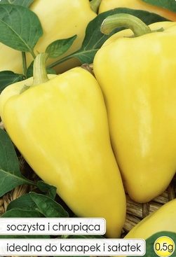 Golden Pepper 0.5g (Capsicum annuum)