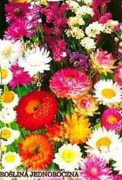 One-year mixture for dry bouquets, 1g.