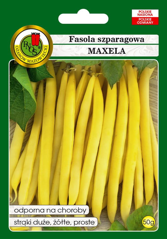 Fasola szparagowa żółta karłowa MAXELA 50g (Phaseolus vulgaris)