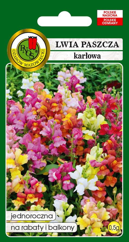 Dwarf lion's mouth mix 0.5g (Antirrhinum pumilum)