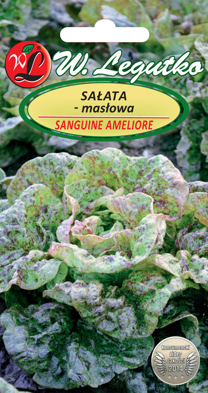 Sałata głowiasta masłowa SANGUINE AMELIOREE 1g (Lactuca sativa)