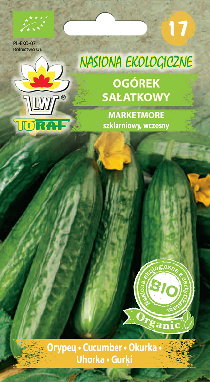 Organic salad cucumber MARKETMORE BIO (Cucumis sativus L.)