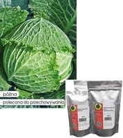 Kapusta włoska LANGEDIJSKA 50g (Brassica oleracea L. var. sabauda)