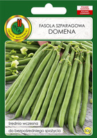 Fasola szparagowa zwykła karłowa zielona DOMENA 50g (Phaseolus vulgaris)