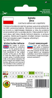 Sałata głowiasta masłowa zimująca ZINA 1g (Lactuca sativa var. capitata)