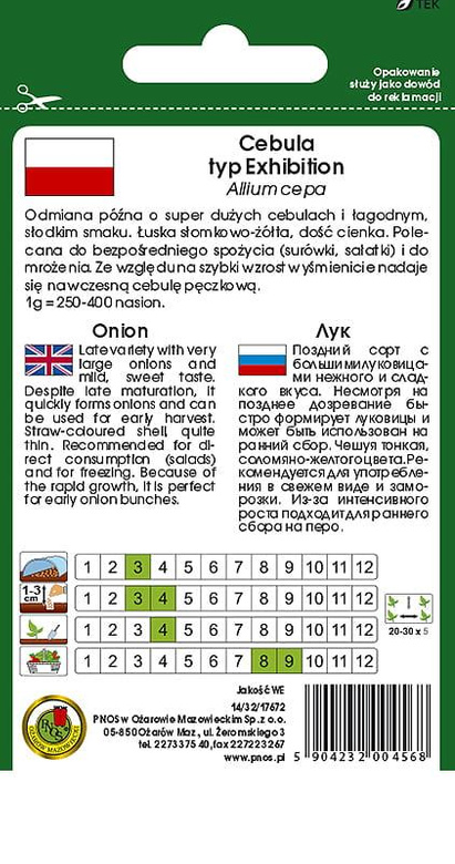 Onion AILSA CRAIG 0.5g (Allium cepa)