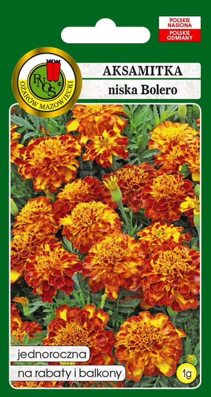 Low-growing BOLERO marigold with honey-mahogany velvet-like flowers, 1g (Tagetes patula nana fl. pl.)