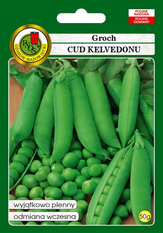 Groch łuskowy CUD KELVEDONU 50g (Pisum sativum)