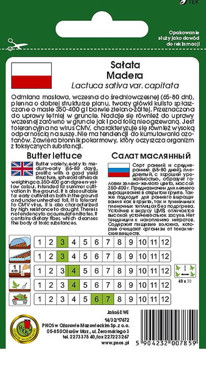 Butterhead lettuce MADERA 1g (Lactuca sativa var.capitata)