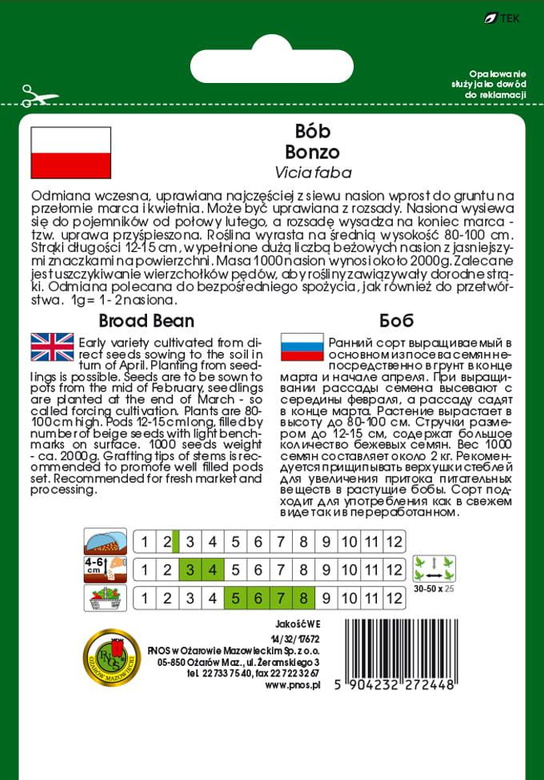 Garden bean BONZO 50g (Vicia faba)