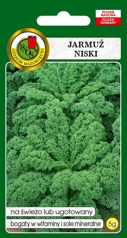 Dwarf Green Curled Kale 5g (Brassica oleracea L. convar. acephala)