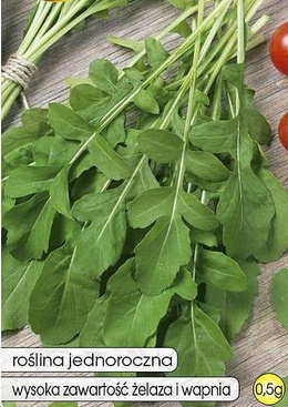 Annual Rocket Arugula Wild Rocket Seeds 0.5g (Eruca sativa)