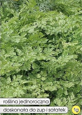 Garden chervil COMMUN 1g (Anthriscus cerefolium)