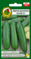 Ogórek gruntowy OLIMP F1 5g (Cucumis sativus)