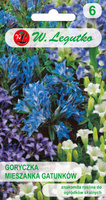 Gentian - a mix of species for rock gardens 0.02g (Gentiana sp.)