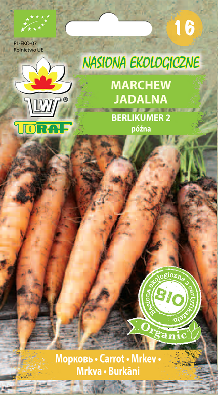 Edible carrot BERLIKUMER 2 5g BIO (Daucus carota L.)