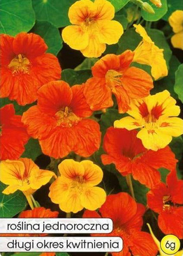 Dwarf Nasturtium Mix 6g (Tropaeolum maj. nan. maximum)