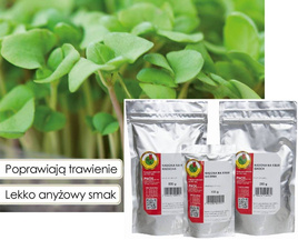 BASIL sprouting seeds 100g