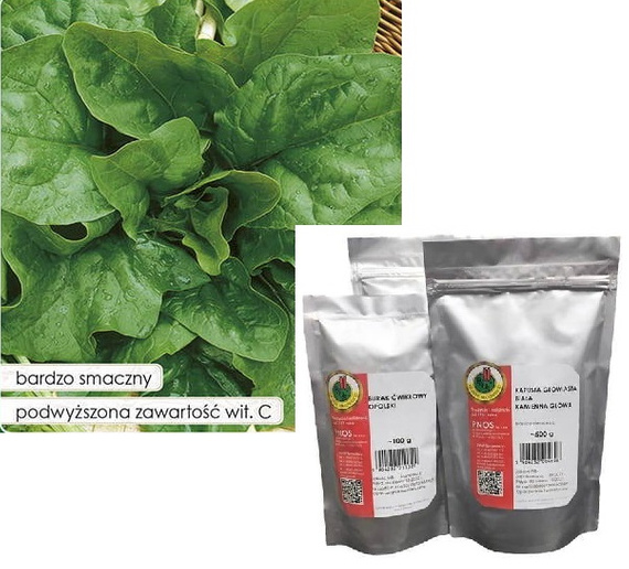 Winter Giant Spinach - Winter Giant Spinach OŻA 500g