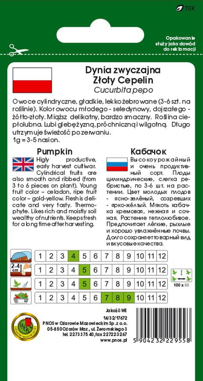 Kabaczek Dynia zwyczajna ZŁOTY CEPELIN 3g (Cucurbita pepo)