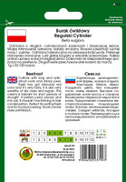 Burak ćwikłowy REGULSKI CYLINDER 20g (Beta vulgaris)