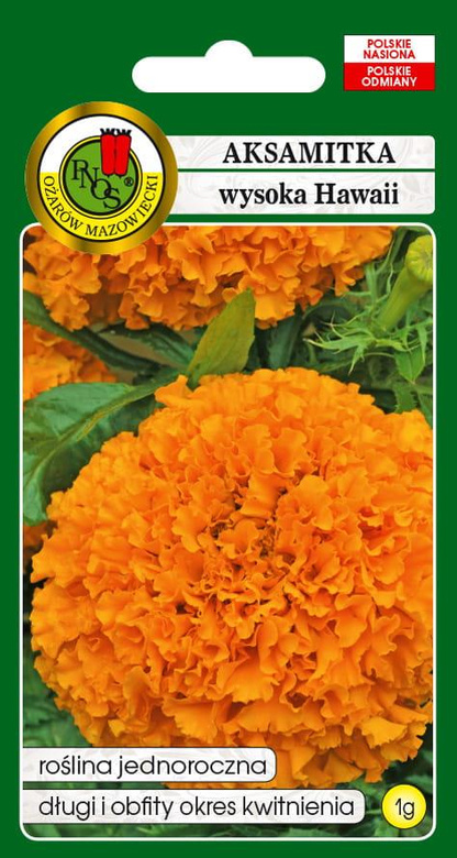 Aksamitka pełna wysoka HAWAII pomarańczowa 1g (Tagetes erecta fl. pl.)