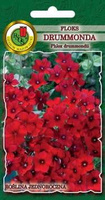 Floks DRUMMONDA czerwony 0,8g (Phlox drummondii)