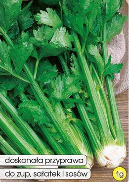 Celery, VERDE PASCAL 1g (Apium graveolens var. dulce)