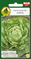 Sałata głowiasta masłowa ADINAL 1g (Lactuca sativa var.capitata)