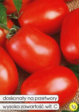 Pomidor gruntowy KMICIC 1g (Solanum lycopersicum L.)