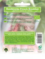French Breakfast Radish 35g BIO (Raphanus sativus var. sativus)
