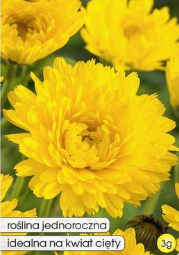 3g of yellow marigold (Calendula officinalis fi. pl.)