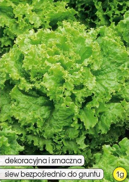 Lollo leaf lettuce 1g (Lactuca sativa var. crispa)